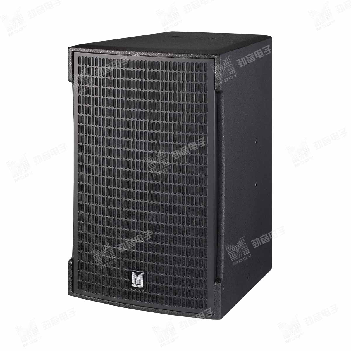 I-12商娱两用多功能专业音箱