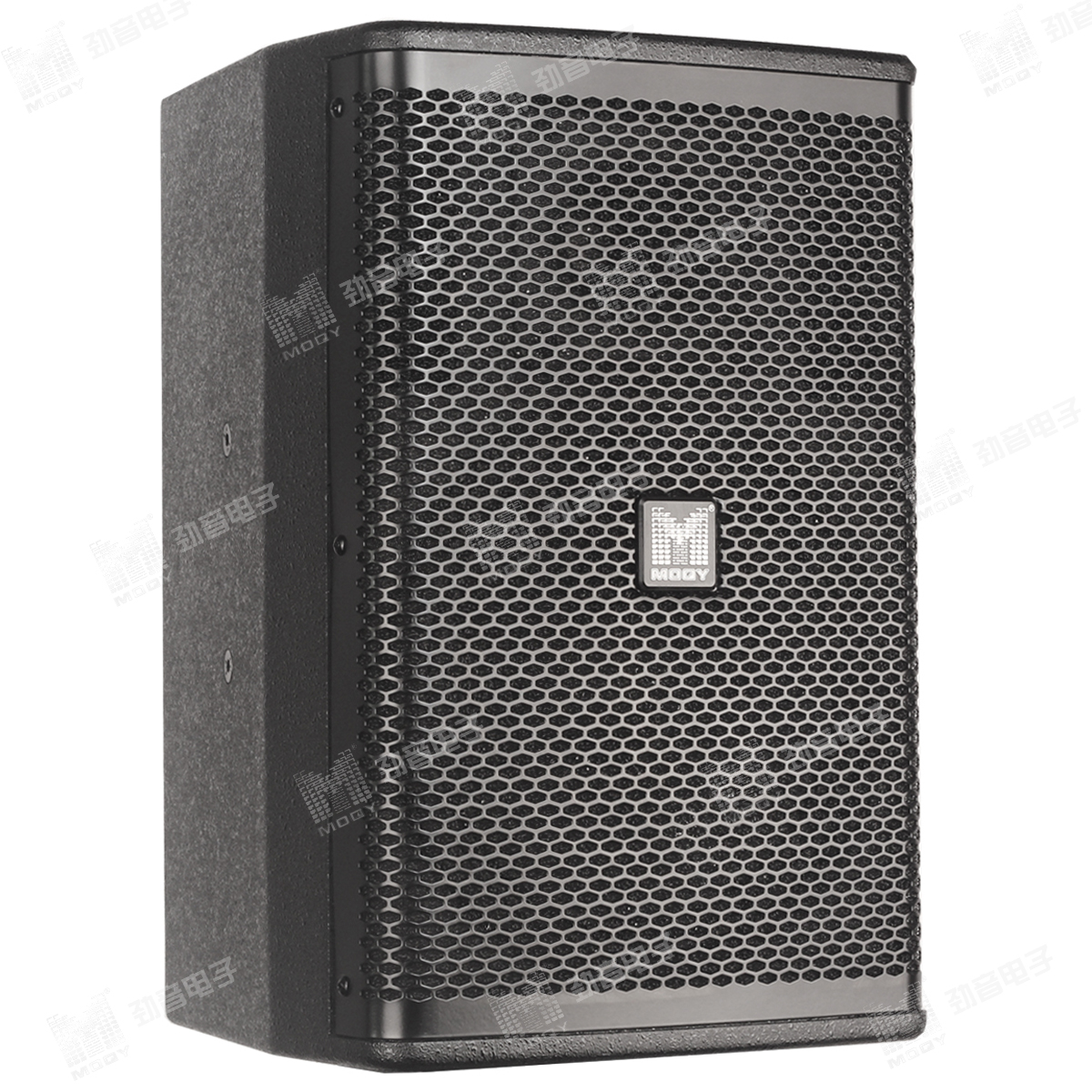 G-12 PROFESSIONAL CONFERENCE SYSTEM